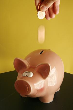 Beyond the Piggy Bank